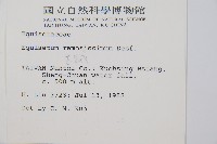 木賊藏品圖，第2張