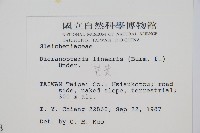 芒萁藏品圖，第2張