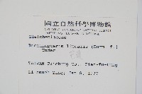 芒萁藏品圖，第2張