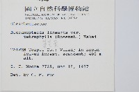 蔓芒萁藏品圖，第2張