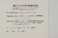 金毛裸蕨藏品圖，第2張