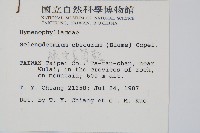 線片長筒蕨藏品圖，第2張