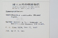 瓶蕨藏品圖，第2張