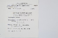 南海瓶蕨藏品圖，第2張