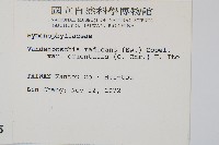 登錄號:P000535藏品圖，第2張