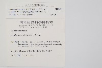 三角葉陵齒蕨藏品圖，第2張