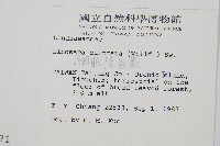 網脈鱗始蕨藏品圖，第2張