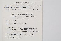 三角葉陵齒蕨藏品圖，第2張