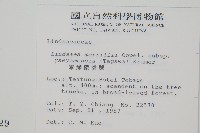 攀緣鱗始蕨藏品圖，第2張