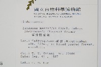 攀緣鱗始蕨藏品圖，第2張