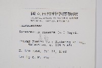 烏蕨藏品圖，第2張