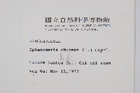 烏蕨藏品圖，第2張