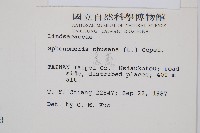 烏蕨藏品圖，第2張
