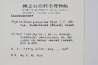 二羽達邊蕨藏品圖，第2張