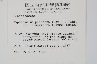 二羽達邊蕨藏品圖，第2張