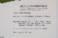 海南實蕨藏品圖，第2張