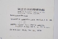 刺蕨藏品圖，第2張