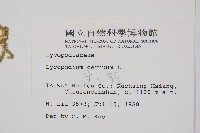 過山龍藏品圖，第2張