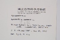 過山龍藏品圖，第2張