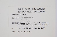 過山龍藏品圖，第2張