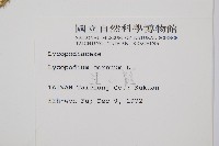 過山龍藏品圖，第2張