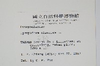 石松藏品圖，第2張