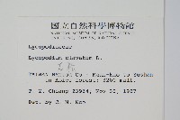 石松藏品圖，第2張