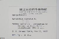 石松藏品圖，第2張