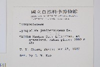 玉柏藏品圖，第2張