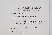 玉柏藏品圖，第2張