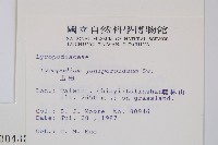 玉柏藏品圖，第2張