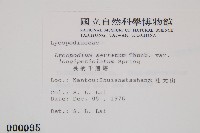 長柄千層塔藏品圖，第2張