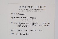 相馬氏石松藏品圖，第2張