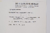 玉山石松藏品圖，第2張