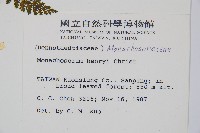 稀子蕨藏品圖，第2張