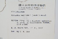 蓧蕨藏品圖，第2張