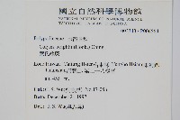 大線蕨藏品圖，第4張