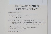 萊氏線蕨藏品圖，第2張