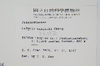 萊氏線蕨藏品圖，第2張