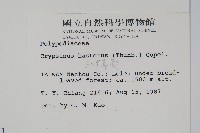 三葉茀蕨藏品圖，第2張