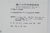 抱樹蕨、伏石蕨藏品圖，第2張