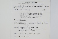 骨牌蕨藏品圖，第2張