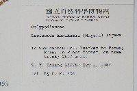 麟瓦葦、川上氏瓦葦藏品圖，第2張