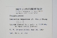 鱗瓦葦、長柄瓦葦藏品圖，第2張