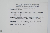 粵瓦葦藏品圖，第2張