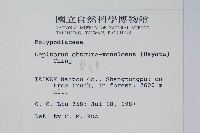 粵瓦葦藏品圖，第2張