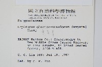 粵瓦葦藏品圖，第2張