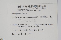 玉山瓦葦藏品圖，第2張