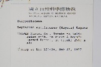 擬芨瓦葦藏品圖，第2張