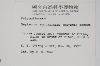 擬芨瓦葦藏品圖，第2張